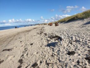 Ostsee, Strand & Me(e)hr erleben, Speziell für Familien, Fe/wo 